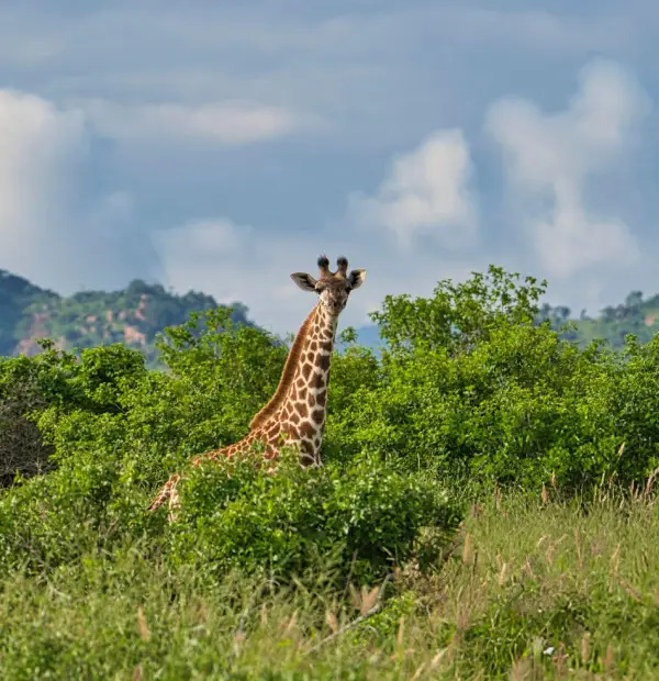Arusha National Park