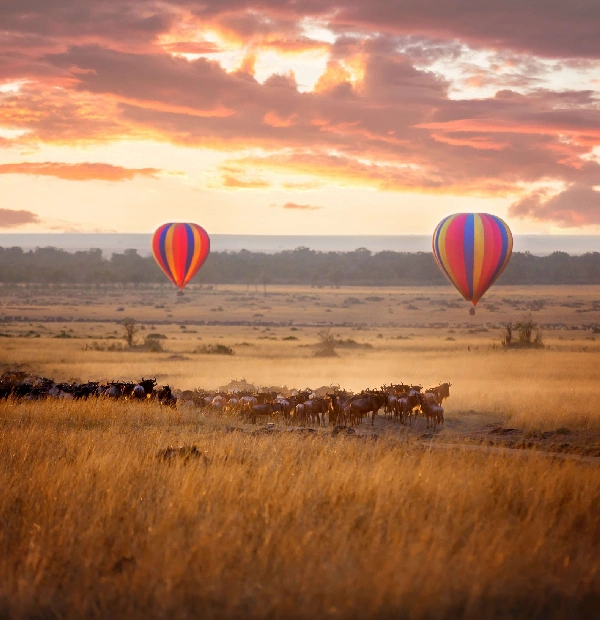 Hot Air Balloon Safari
