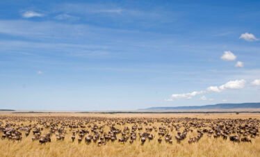 9 Days Northern Tanzania Prestige Safari The Grand