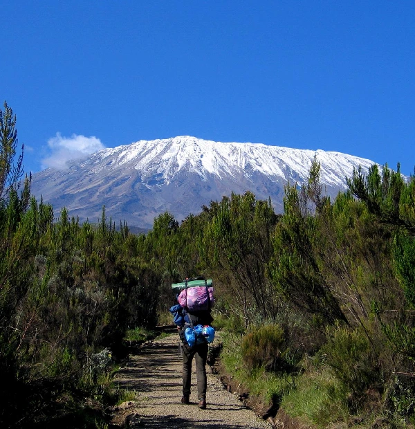 kilimanjaro faqs