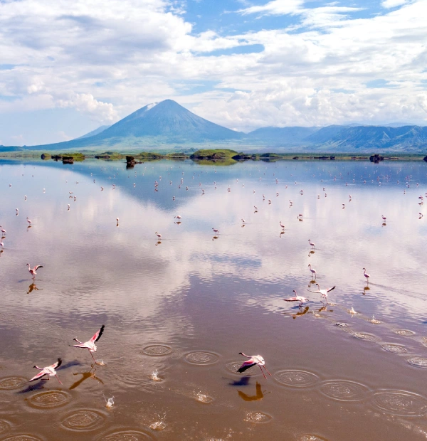 lake natron