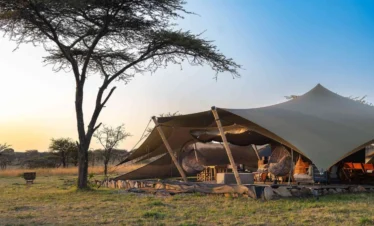 6 Days Luxury Safari Serengeti Migration
