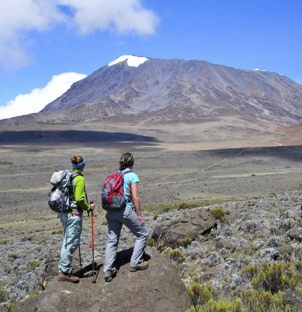 when to climb kilimanjaro