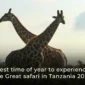Best time of year to experience the Great Safari in Tanzania 2026 85x85