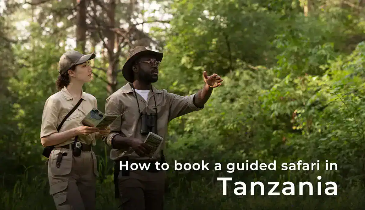How to book a guided safari in Tanzania?
