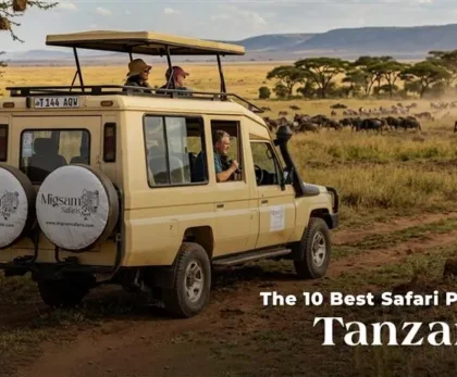 The 10 Best Safari Parks in Tanzania