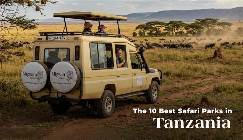 The 10 Best Safari Parks in Tanzania