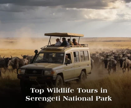 Top-wildlife-tours-in-Serengeti-National-Park