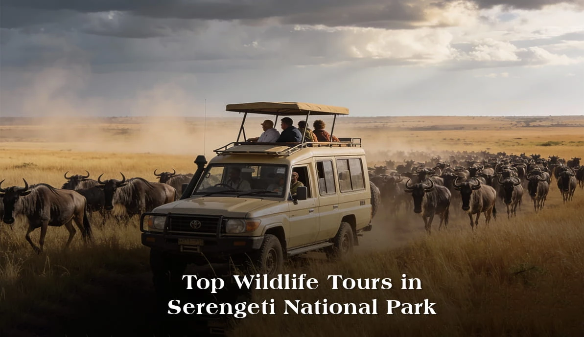 Top-wildlife-tours-in-Serengeti-National-Park