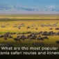 What are the Most Popular Tanzania Safari routes and Itineraries 85x85