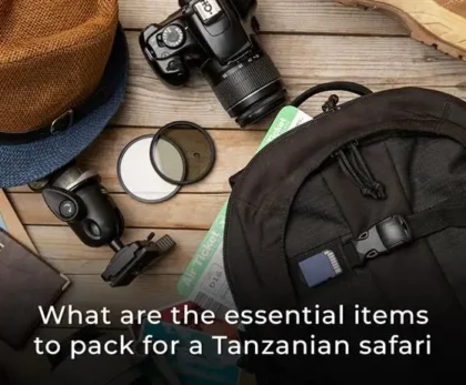 What are the essential items to pack for a Tanzanian safari?