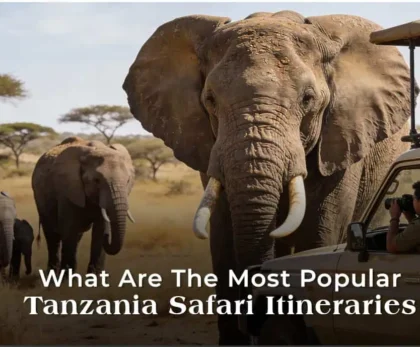 What are the most popular Tanzania safari itineraries?