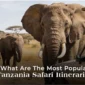 What are the most popular Tanzania safari itineraries?