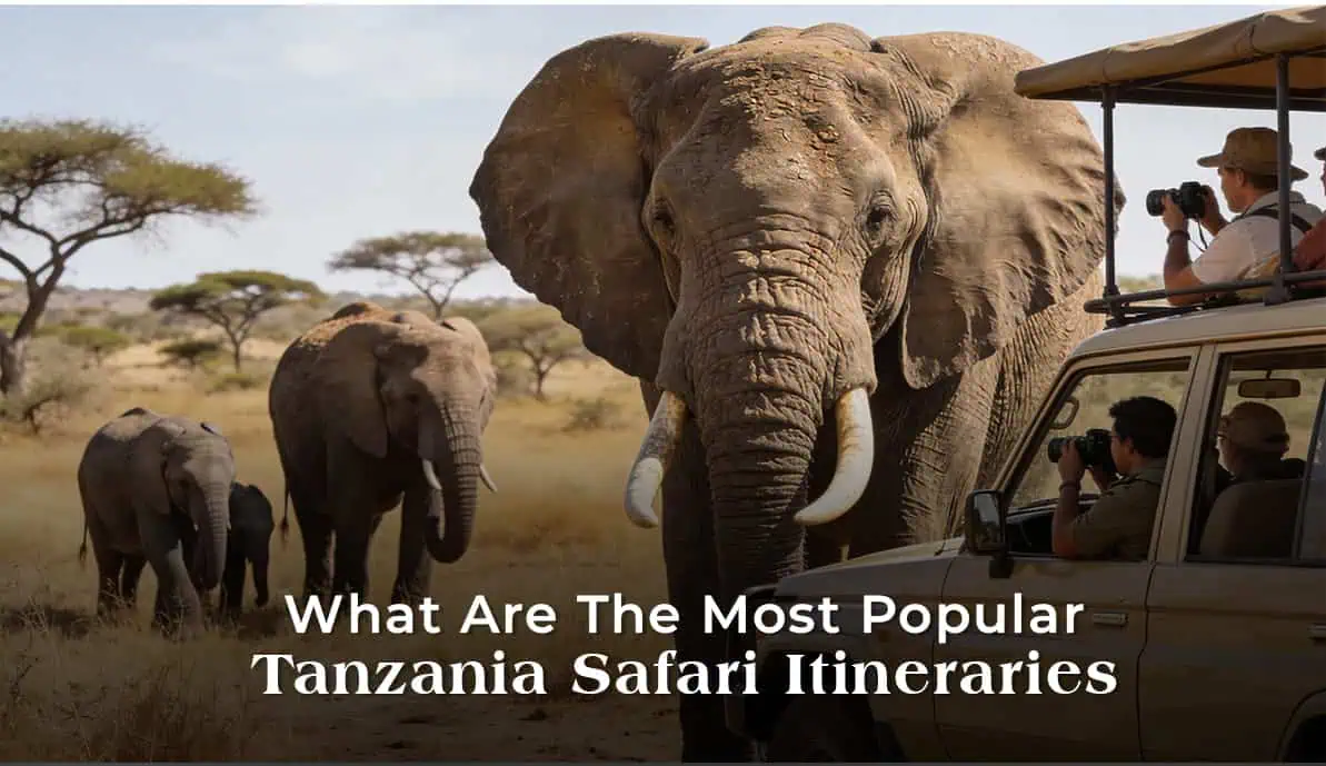 What are the most popular Tanzania safari itineraries?
