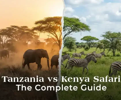 tanzania vs kenya safari