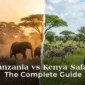tanzania vs kenya safari