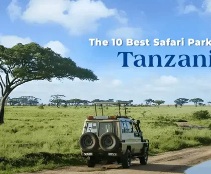 The 10 Best Safari Parks in Tanzania