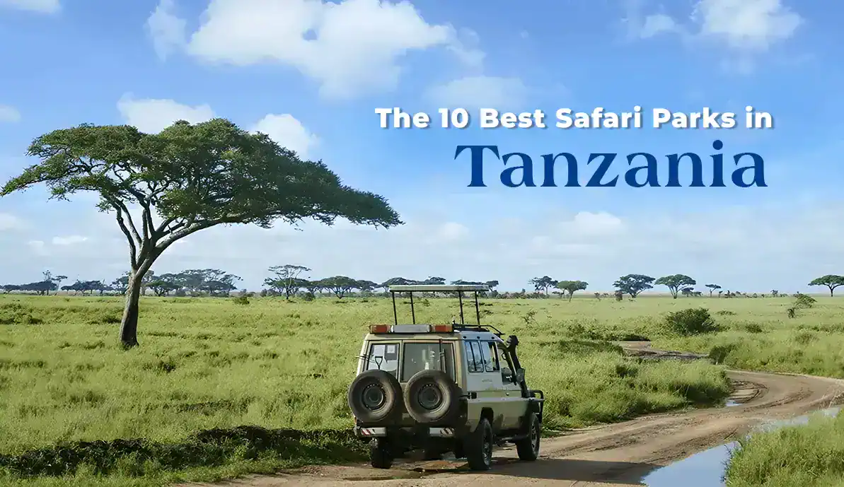 The 10 Best Safari Parks in Tanzania