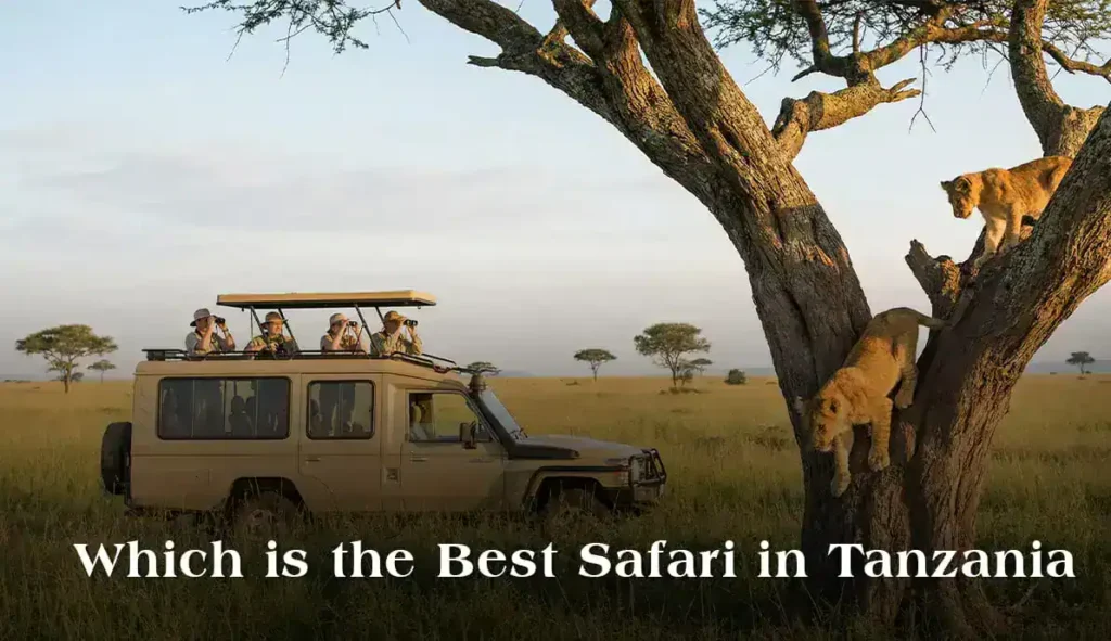 Which is the best safari in Tanzania?