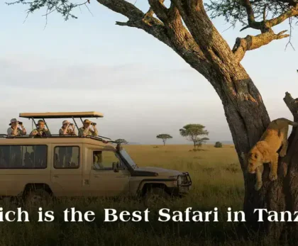 Which is the best safari in Tanzania?