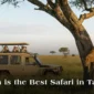 which is the best safari in tanzania  85x85
