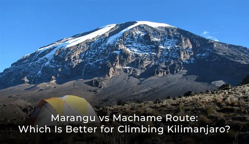 Marangu vs Machame Route: Which Is Better for Climbing Kilimanjaro?