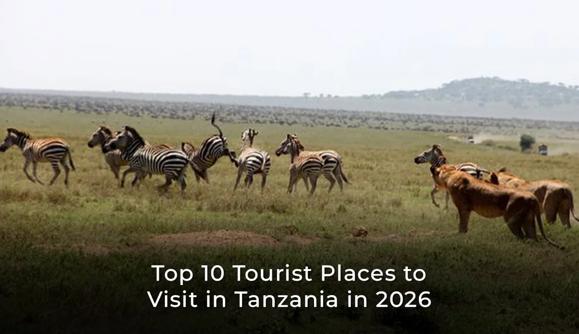 Top 10 Tourist Places to Visit in Tanzania in 2026