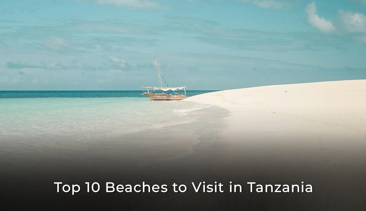 Top 10 Beaches to Visit in Tanzania