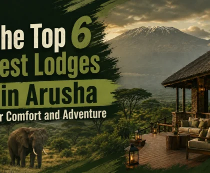 Top 6 Best Lodges in Arusha for Comfort and Adventure