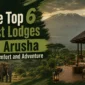 The Top 6 Best Lodges in Arusha for Comfort and Adventure 85x85