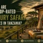 What Are Top Rated Luxury Safari Lodges in Tanzania 85x85