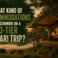 What kind of accommodations are common on a mid-tier safari trip?