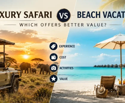 Luxury Safari vs Beach Vacation: Which Offers Better Value?