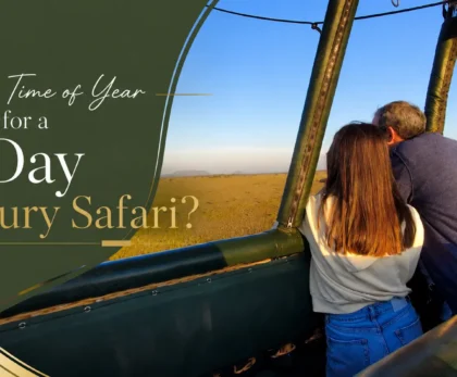What Time of Year Is Best for a 6-Day Luxury Safari?
