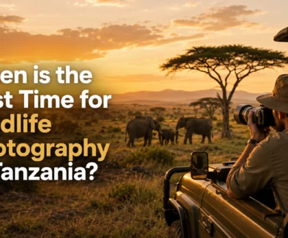 When Is the Best Time for Wildlife Photography in Tanzania?