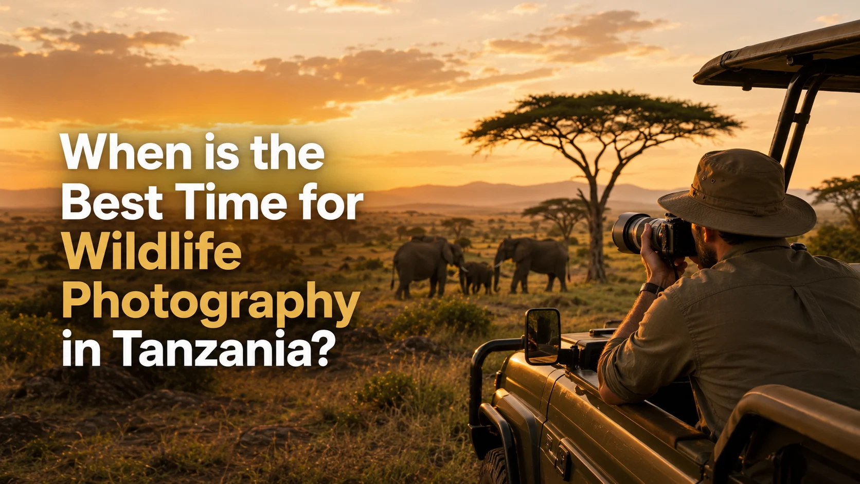 When Is the Best Time for Wildlife Photography in Tanzania?