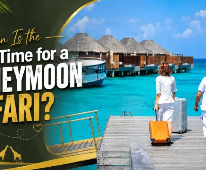 When Is the Best Time for a Honeymoon Safari?