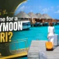 When Is the Best Time for a Honeymoon Safari 85x85