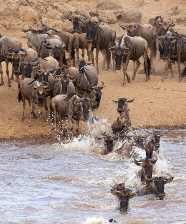 Serengeti National Park