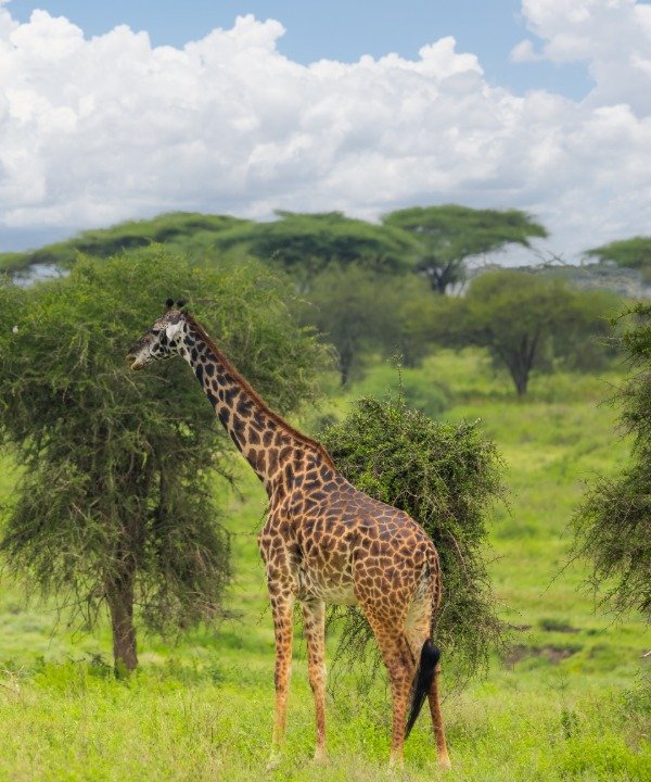 Arusha National Park