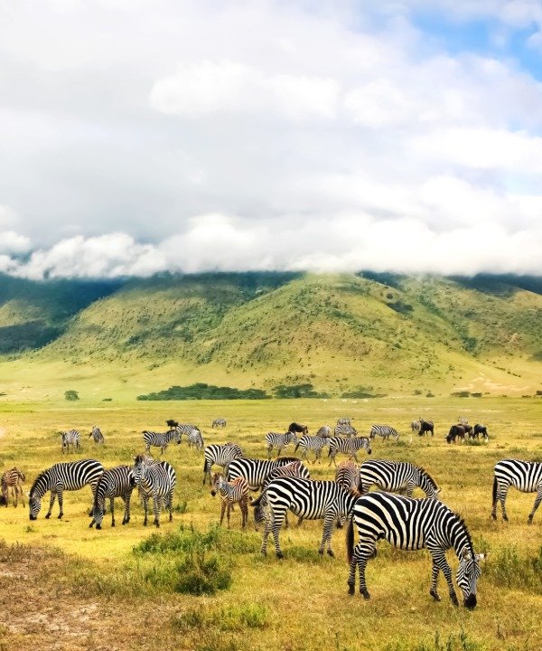 Ngorongoro Crater