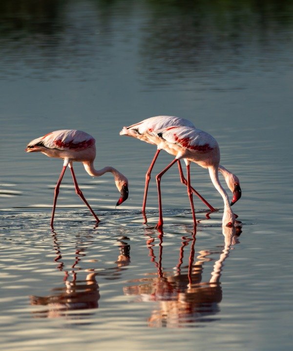 Lake Manyara
