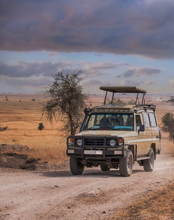 Game drive in the Serengeti