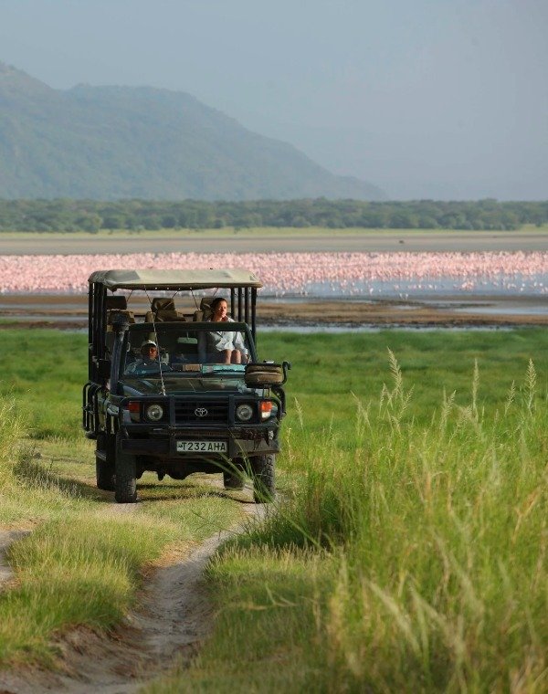 Game drive in the Serengeti
