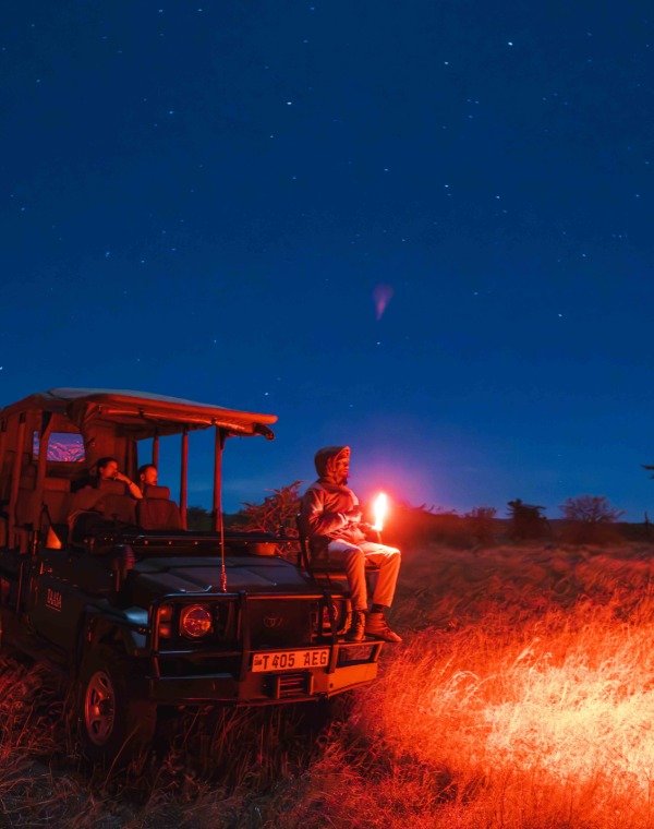 Night Game Drives