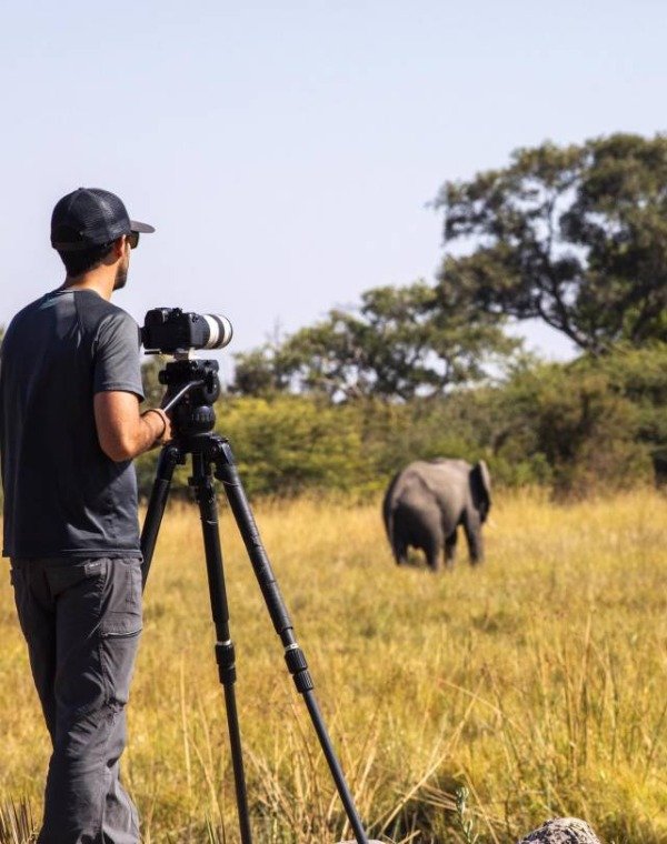 Photography Safaris