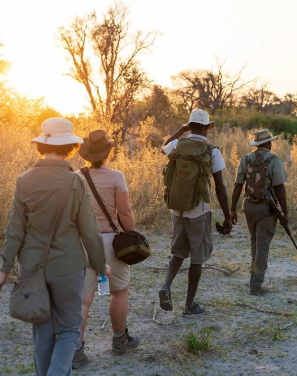 Walking Safaris