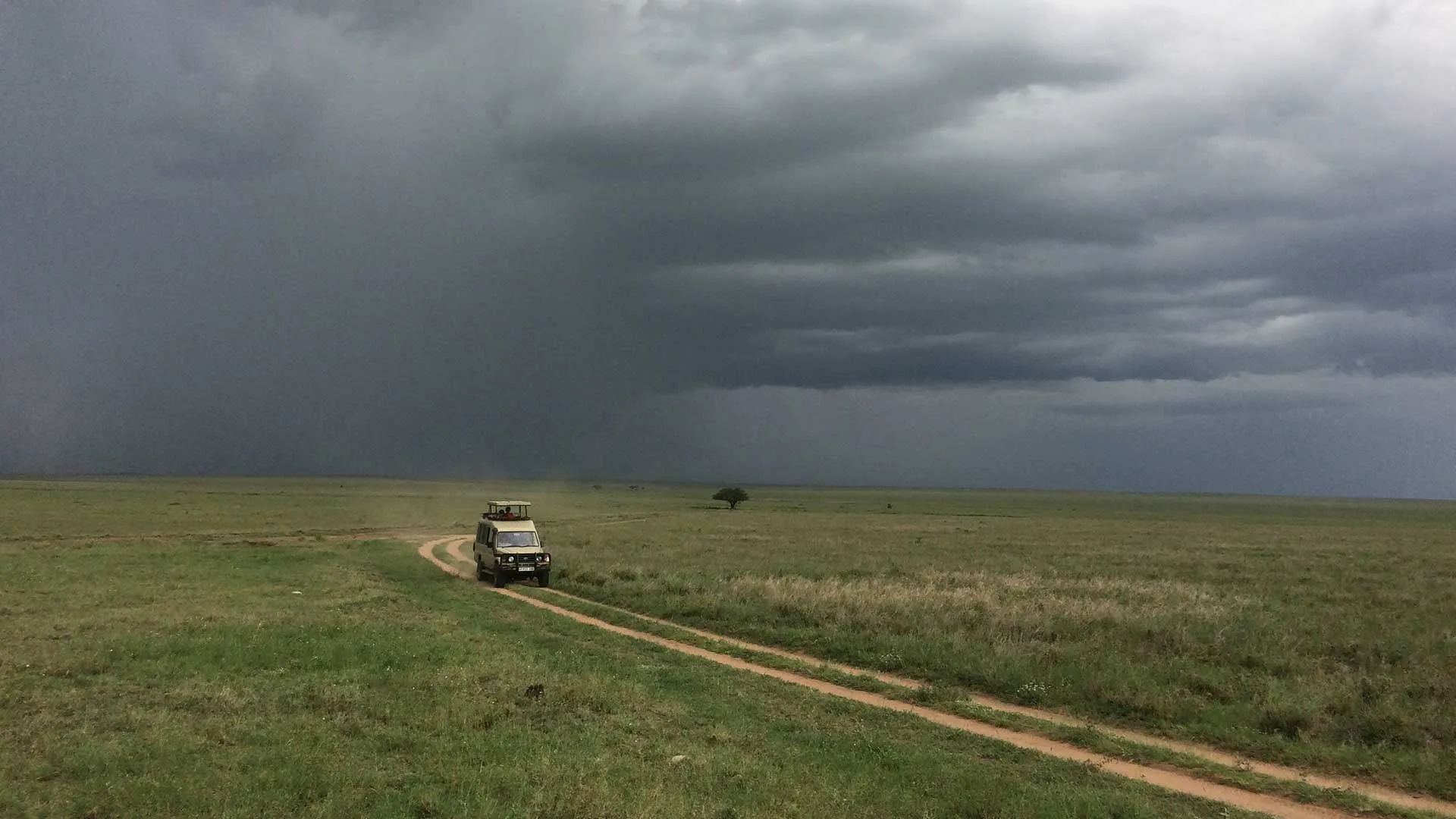 Serengeti during the short rains